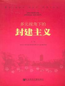 多元视角下的封建主义