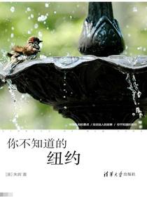 你不知道的纽约