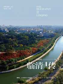 临清传：大运河文化的一个支点（丝路百城传丛书）