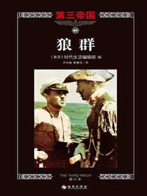 第三帝国系列：狼群7