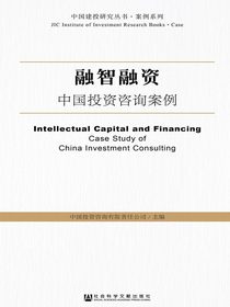 融智融资：中国投资咨询案例