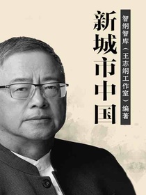 新城市中国