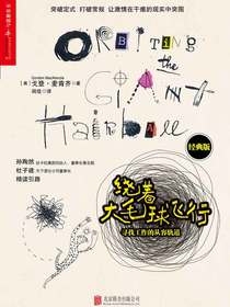 绕着大毛球飞行：寻找工作的从容轨道（经典版）