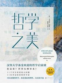 哲学之美