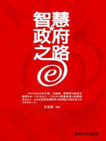 智慧政府之路：大数据、云计算、物联网架构应用