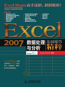 Excel2007数据处理与分析实战技巧精粹