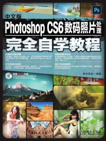中文版PhotoshopCS6数码照片处理完全自学教程