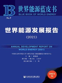 世界能源发展报告（2021世界能源蓝皮书）