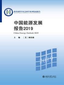 中国能源发展报告2019