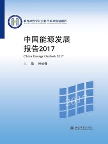 中国能源发展报告2017