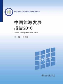 中国能源发展报告2016