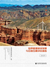 世界能源清洁发展与互联互通评估报告（2020）：非洲篇
