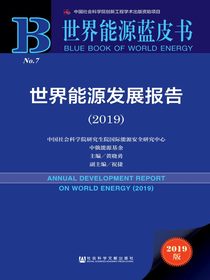 世界能源发展报告（2019）（世界能源蓝皮书）