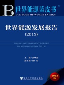 世界能源发展报告（2013）（世界能源蓝皮书）