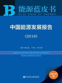 能源蓝皮书：中国能源发展报告（2016）