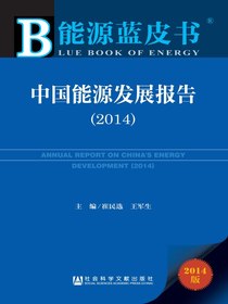 能源蓝皮书：中国能源发展报告（2014）