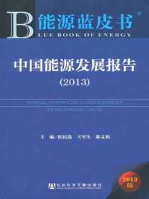 能源蓝皮书：中国能源发展报告（2013）