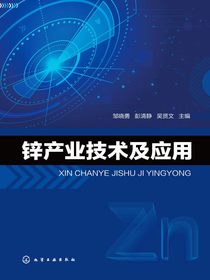 锌产业技术及应用