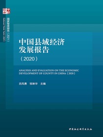 中国县域经济发展报告（2020）