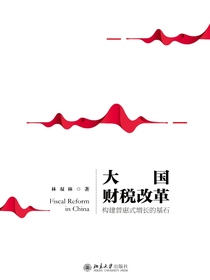 大国财税改革：构建普惠式增长的基石