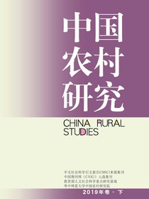 中国农村研究（2019年卷·下卷）