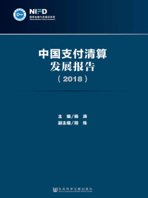 中国支付清算发展报告（2018）