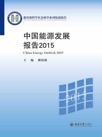 中国能源发展报告2015