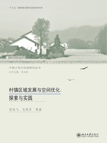 村镇区域发展与空间优化：探索与实践