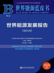 世界能源发展报告（2018）（世界能源蓝皮书）