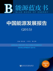 能源蓝皮书：中国能源发展报告（2015）
