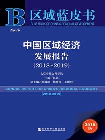 中国区域经济发展报告（2018～2019）（区域蓝皮书）