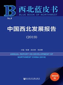 中国西北发展报告（2019）（西北蓝皮书）