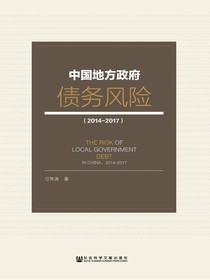 中国地方政府债务风险（2014～2017）