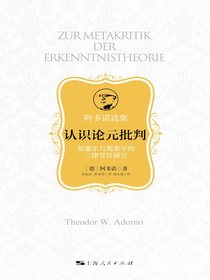 认识论元批判：胡塞尔与现象学的二律背反研究