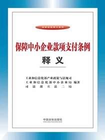 保障中小企业款项支付条例释义
