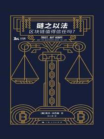 链之以法：区块链值得信任吗？