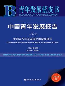 中国青年发展报告（No.2）：中国青少年权益保护的发展进步（青年发展蓝皮书）
