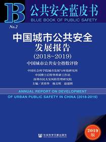 中国城市公共安全发展报告（2018～2019）：中国城市公共安全指数评价（公共安全蓝皮书）