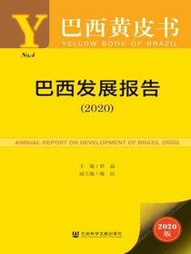 巴西发展报告（2020）（巴西黄皮书）