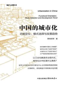 中国的城市化：功能定位、模式选择与发展趋势