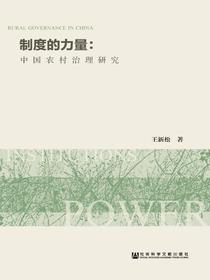 制度的力量：中国农村治理研究