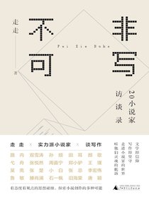 非写不可：20小说家访谈录