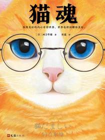 猫魂