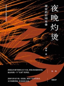 夜晚灼烫：凝定的时间肖像