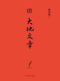 大地文章（行走文丛）