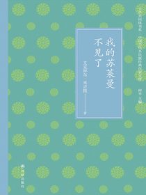 我的苏莱曼不见了