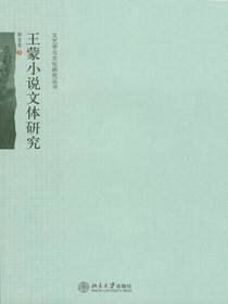 王蒙小说文体研究