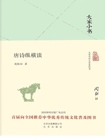 唐诗纵横谈（大家小书系列）