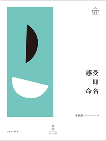 述而批评丛书：感受即命名