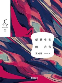 听盐生长的声音：80后短篇小说集